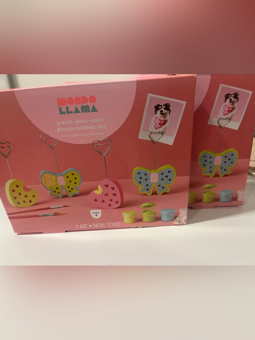 Mondo Llama Pink Paint-Your-Own Photo Holder Kit
